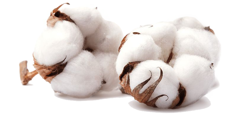 Better Cotton | Texcom