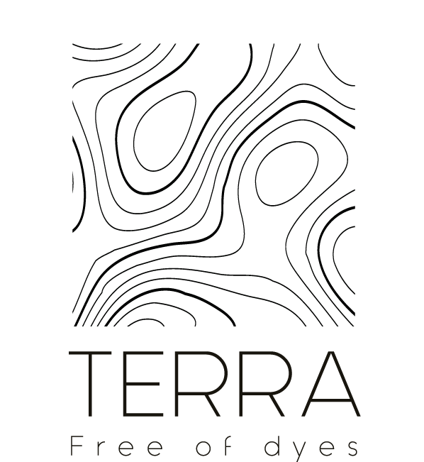 logo terra